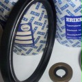 ERIKS Oil Seal