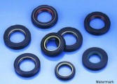 NOK Oil Seal