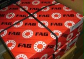 FAG Bearing